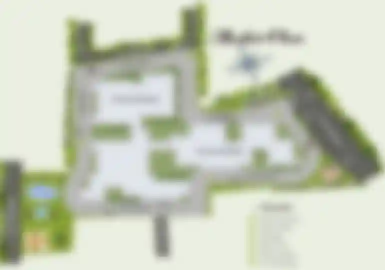 Kreeva Swaranaya Delhi